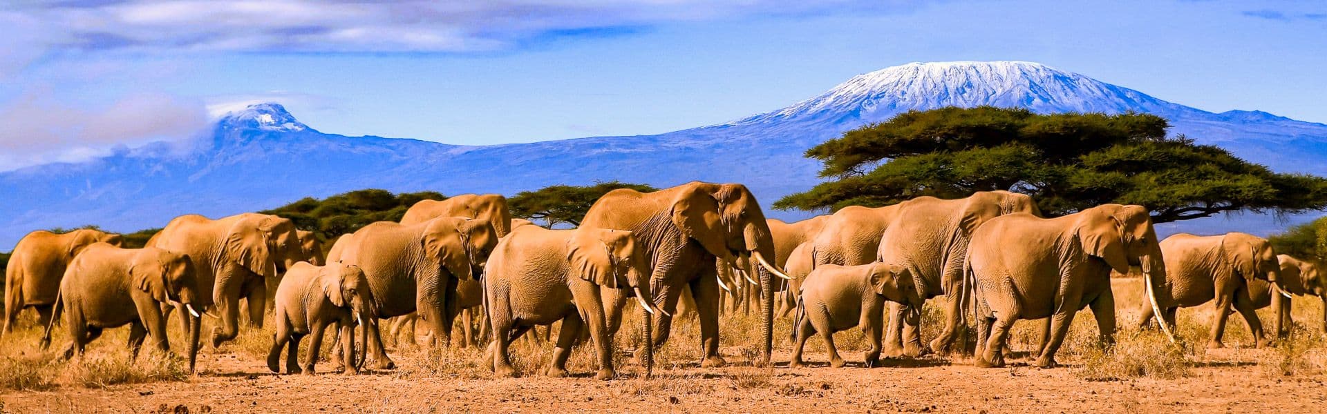 Amboseli