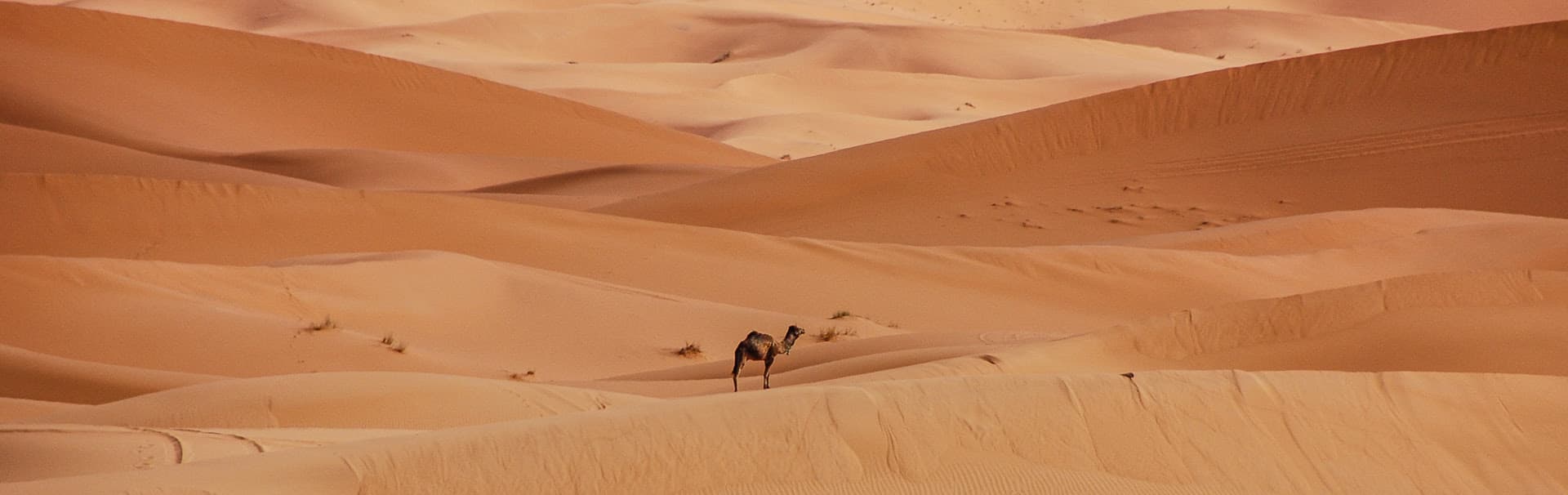 Sahara – Bild 1