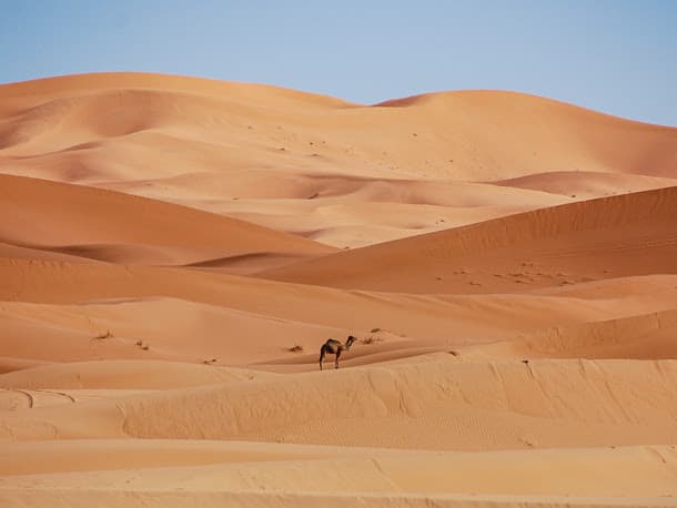 Sahara