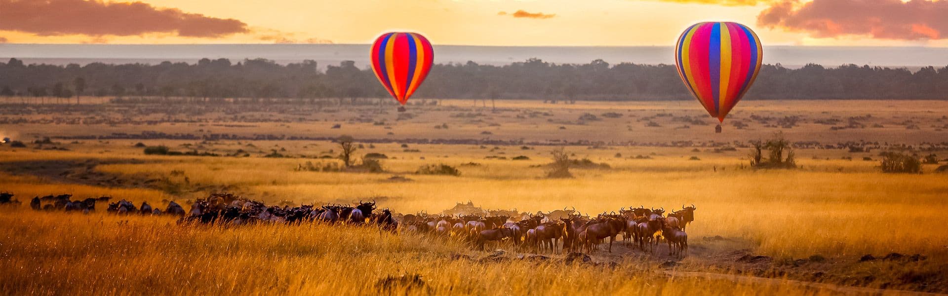 Masai Mara