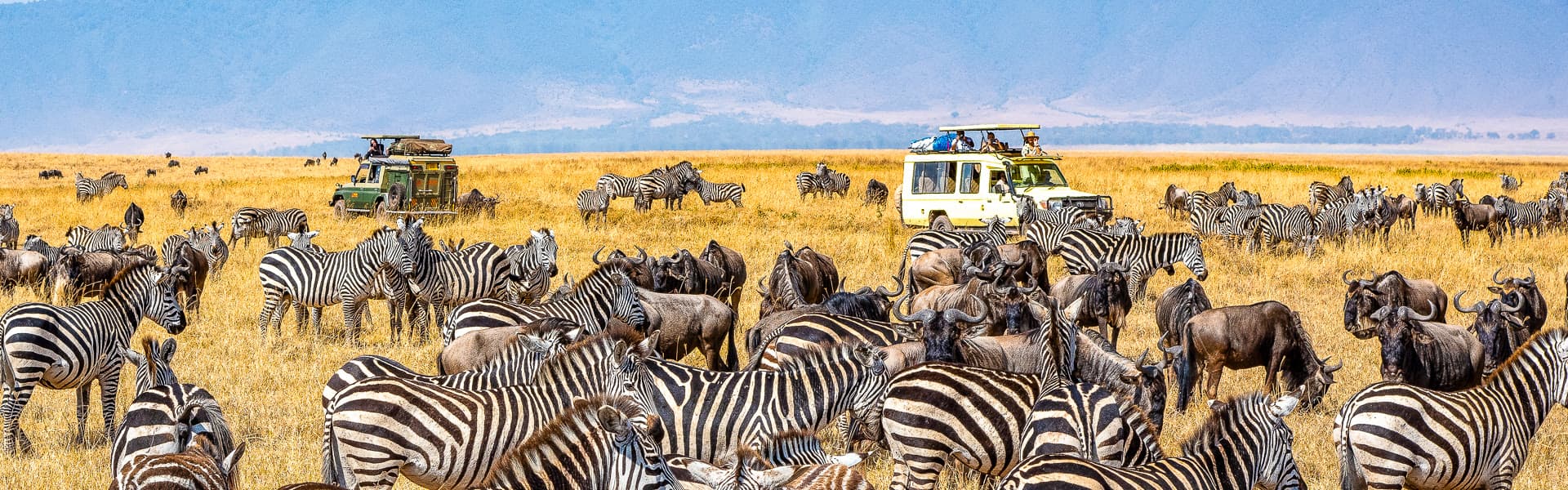 Ngorongoro