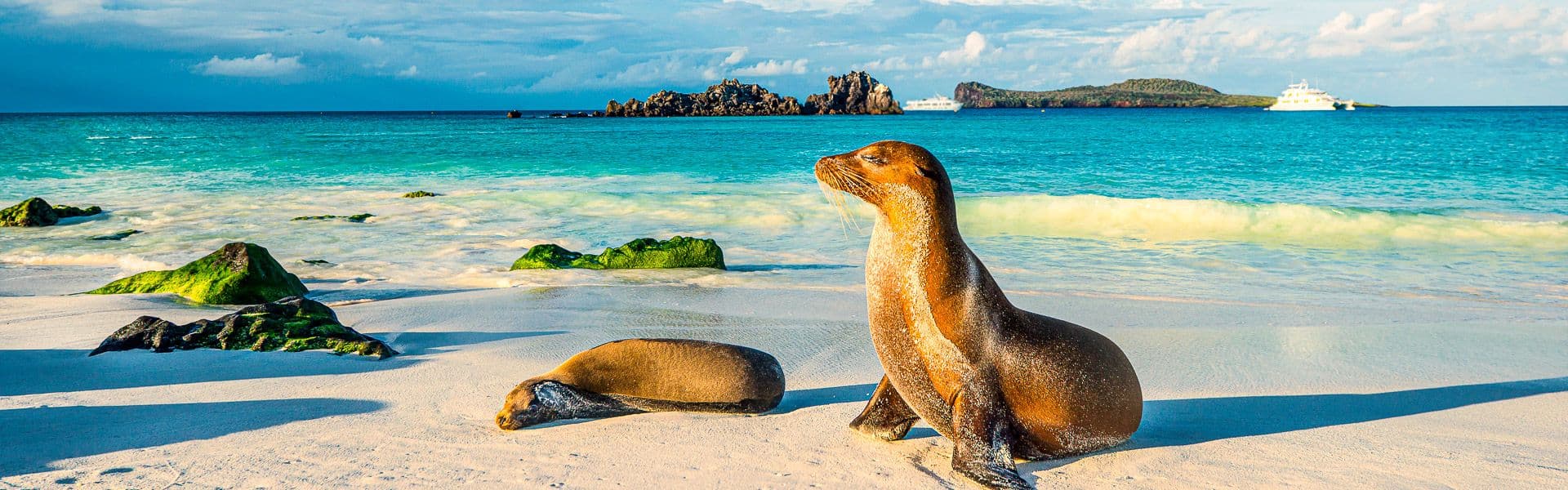 Galápagos