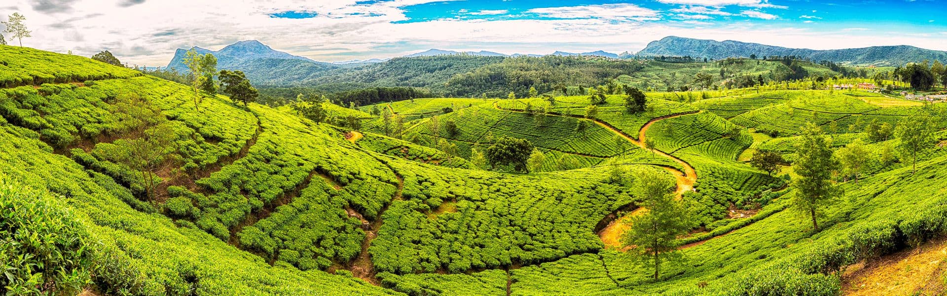 Kandy